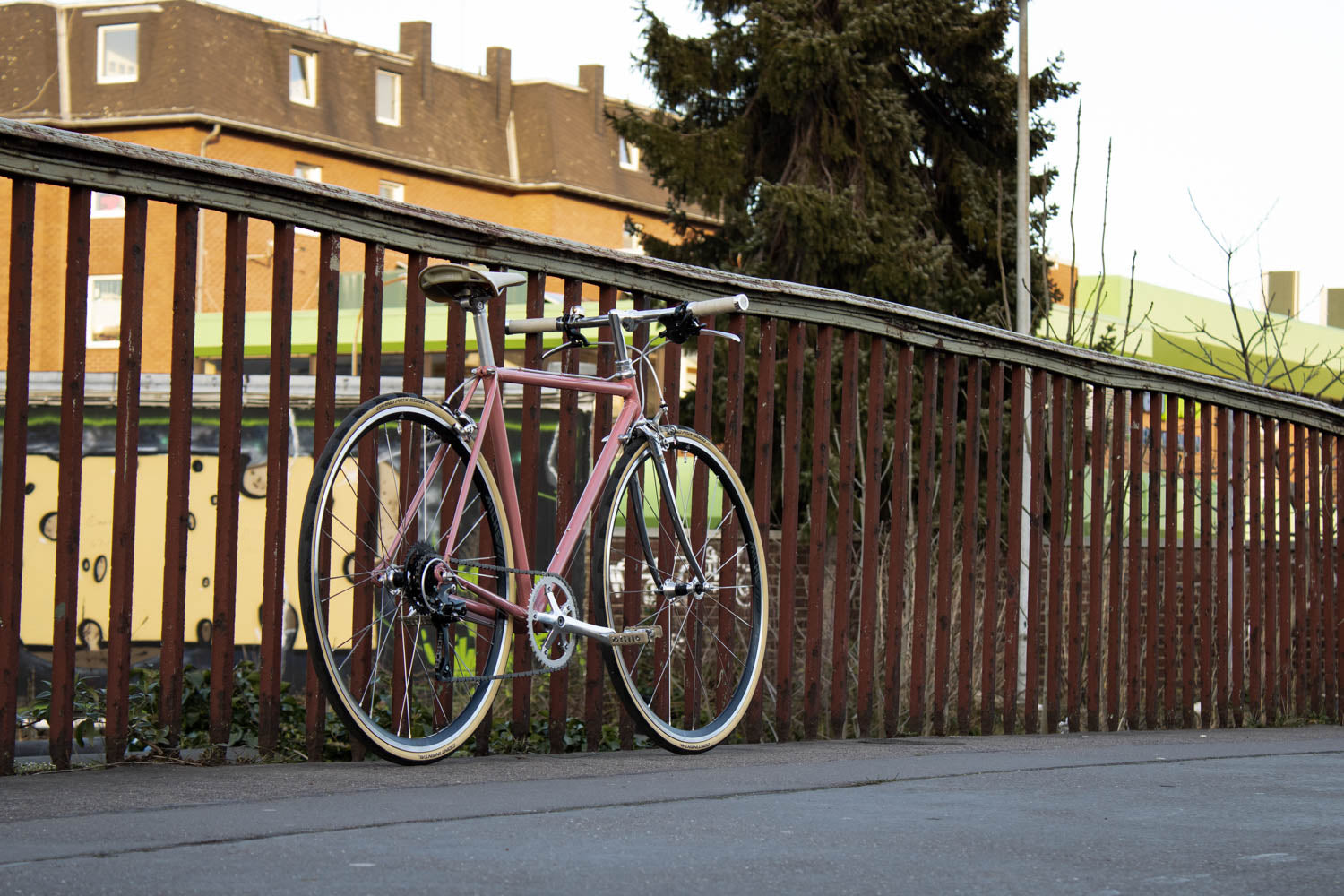 roselli rennrad Dancelli Vintage Stahl Speedbike
